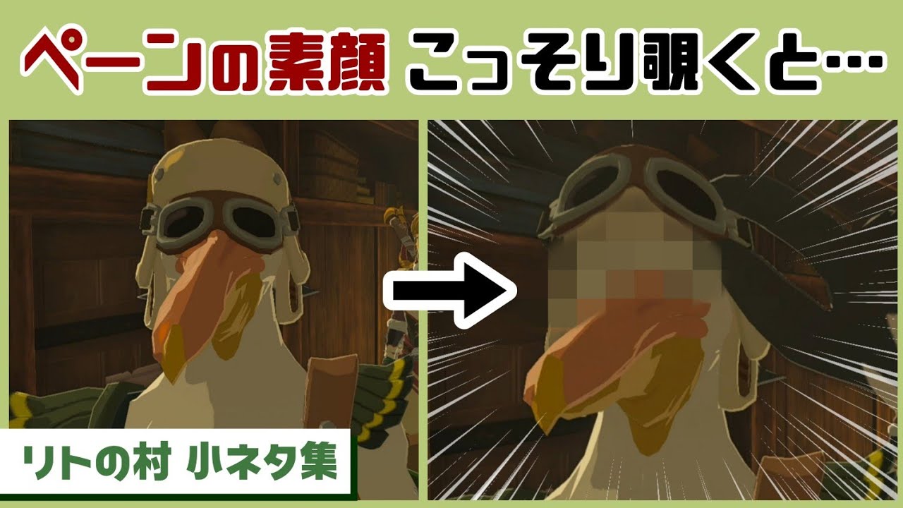 【ティアキン】ペーンのゴーグルの下をこっそり覗くと…意外な目をしていた…！？ゲームに隠れた細かすぎる小ネタ集【ゼルダの伝説 ティアーズ オブ ザ キングダム】@レウンGameTV