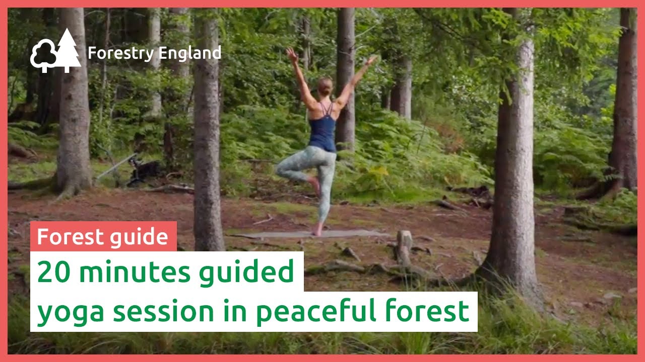 Forest yoga: 20 minute guided class in peaceful forest