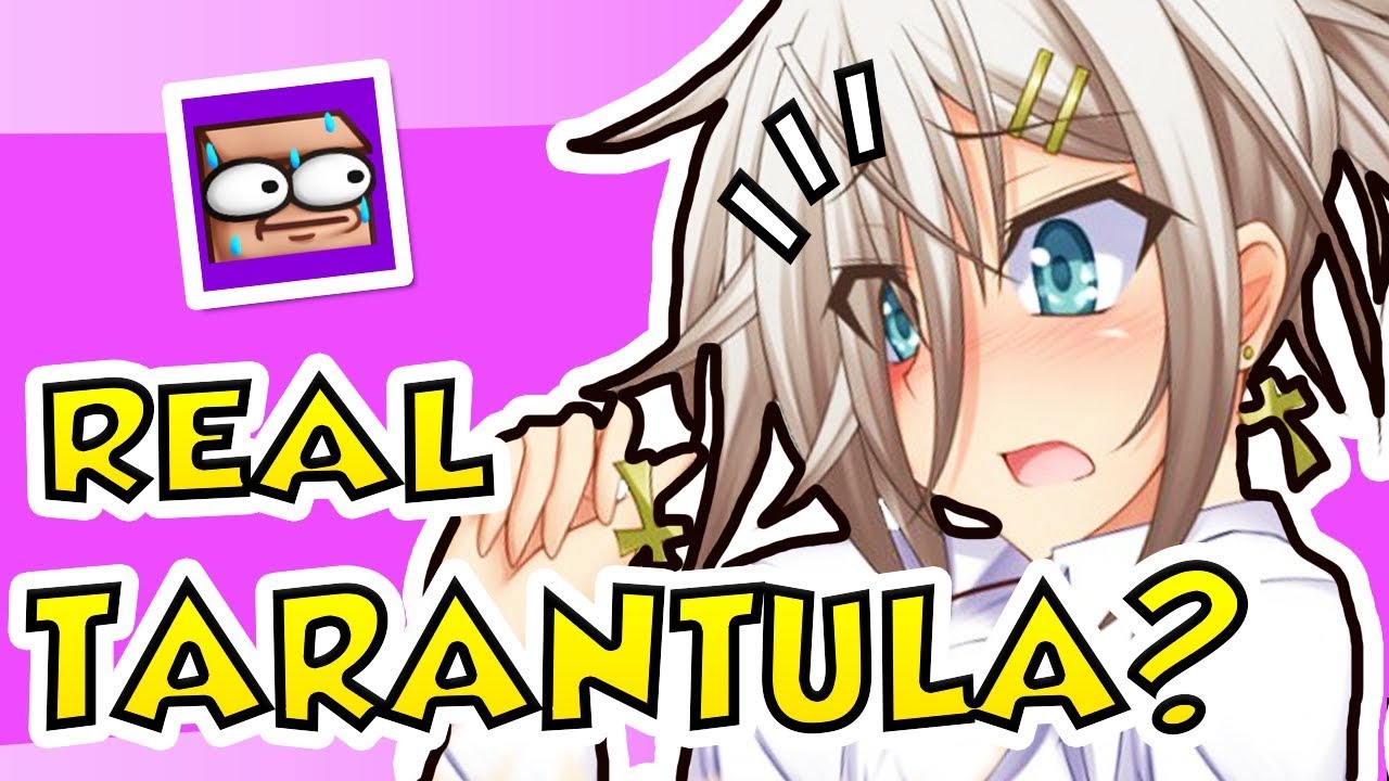 IS THIS A REAL LIFE TARANTULA!? - Boxbox