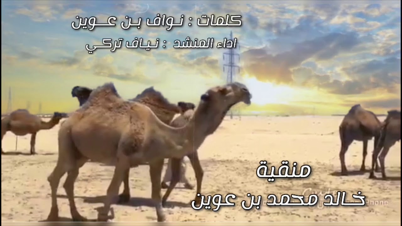 ‫منقية / خالد محمد بن عوين كلمات / نواف بن عوين اداء / نياف تركي‬ #مزاين_العوازم_السادس #2019