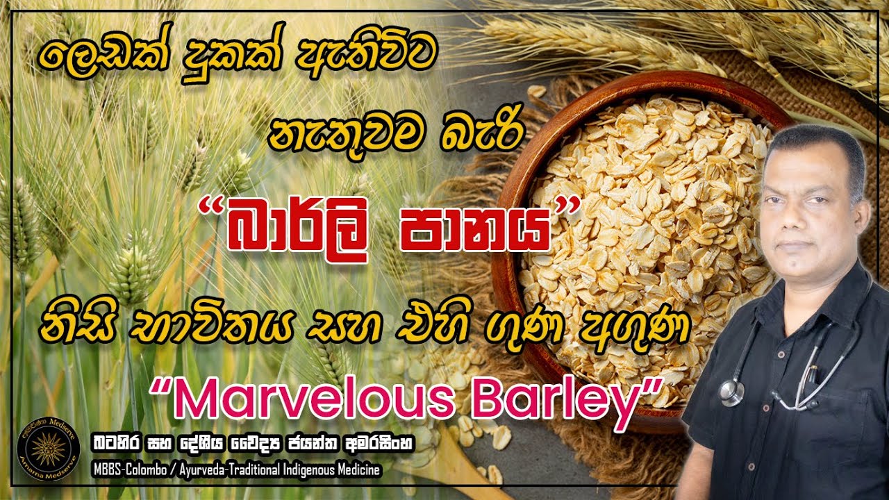ලෙඩක් දුකක් ඇතිවිට නැතිවම බැරි බාර්ලි පානය | භාවිතය සහ එහි ඇති ගුණ දැනගනිමු | Marvelous Barley