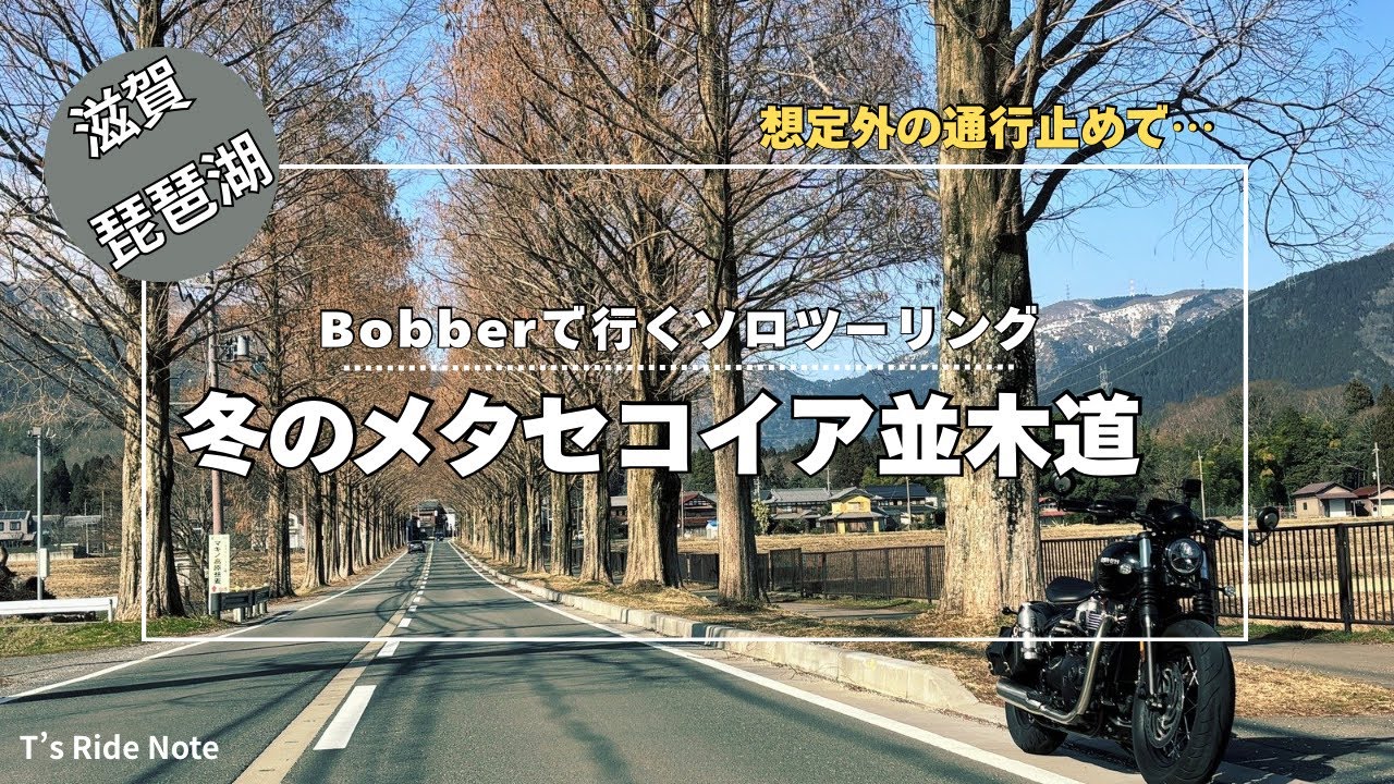 名古屋〜奥琵琶湖へ｜永源寺〜さざなみ街道｜通行止めで急遽メタセコイア並木道【Bobberソロツー】