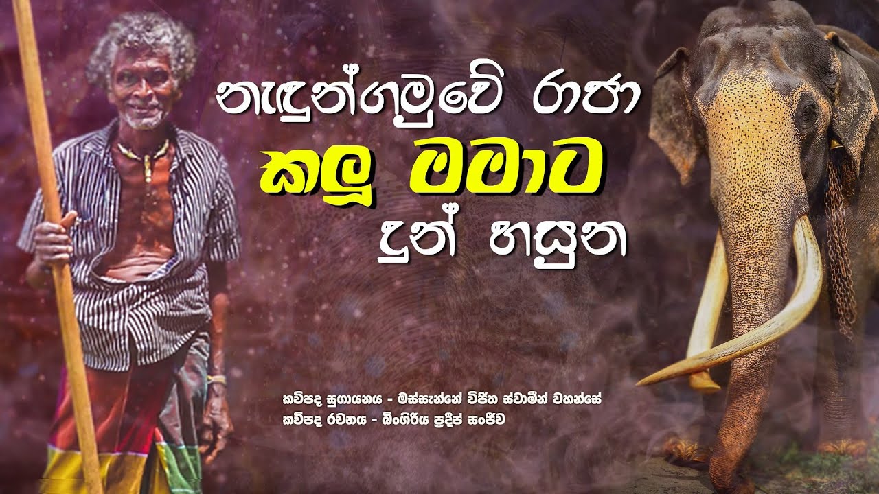 කලු මාමාට ඇතාගෙන් හසුනක් - සංවේදී කවිපෙළ | 0712738311