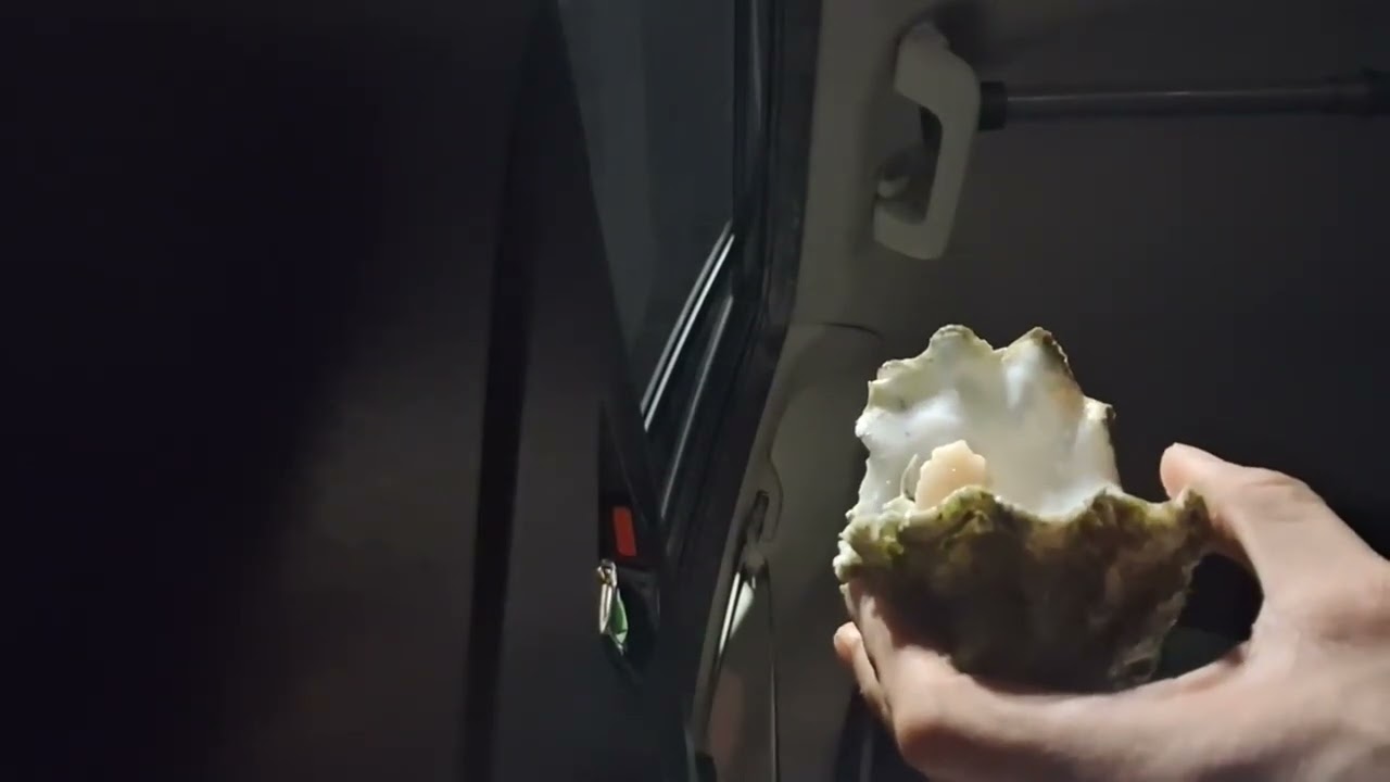 Bustin open the clammy