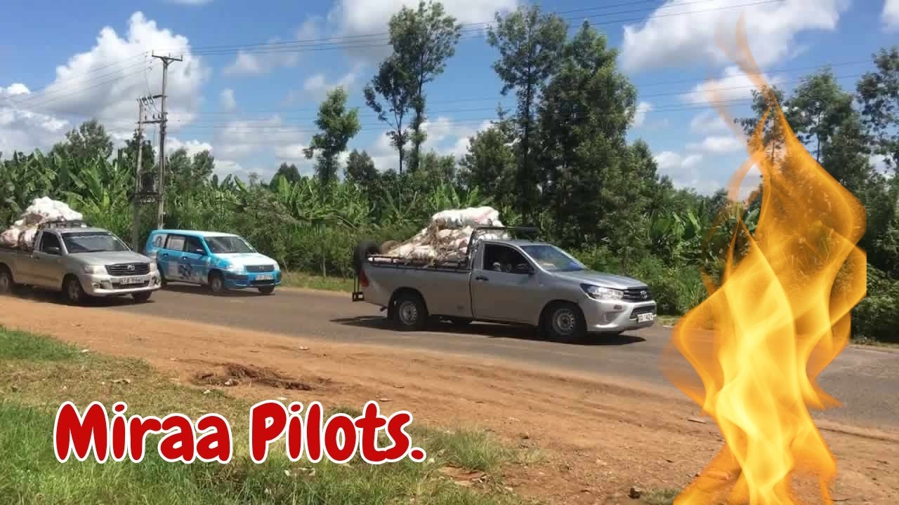 Best of Miraa Pilots video compilation. Muguka and Miraa Vehicles in Kenya