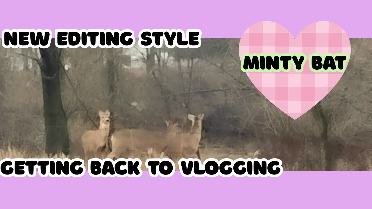New Editing Style?! Getting Back Into Vlogging! Daily Vlog | Minty Bat