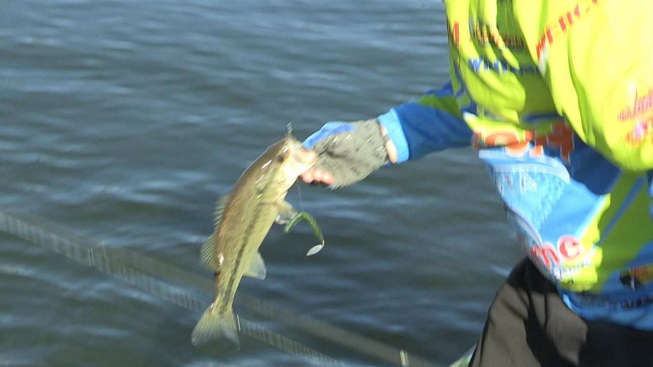 Roosevelt Lake, AZ - Senko With A Spin