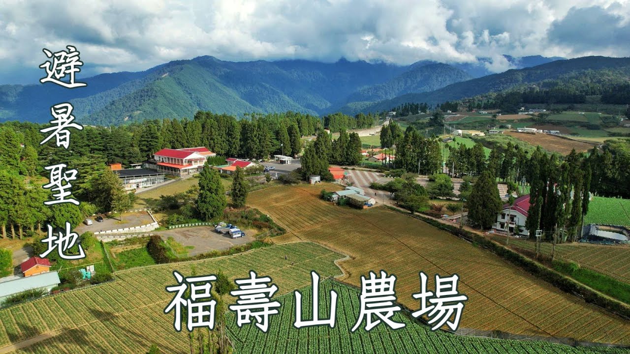避暑聖地 🍎福壽山農場🍊🥝🌺☘️🍁2024.08.23