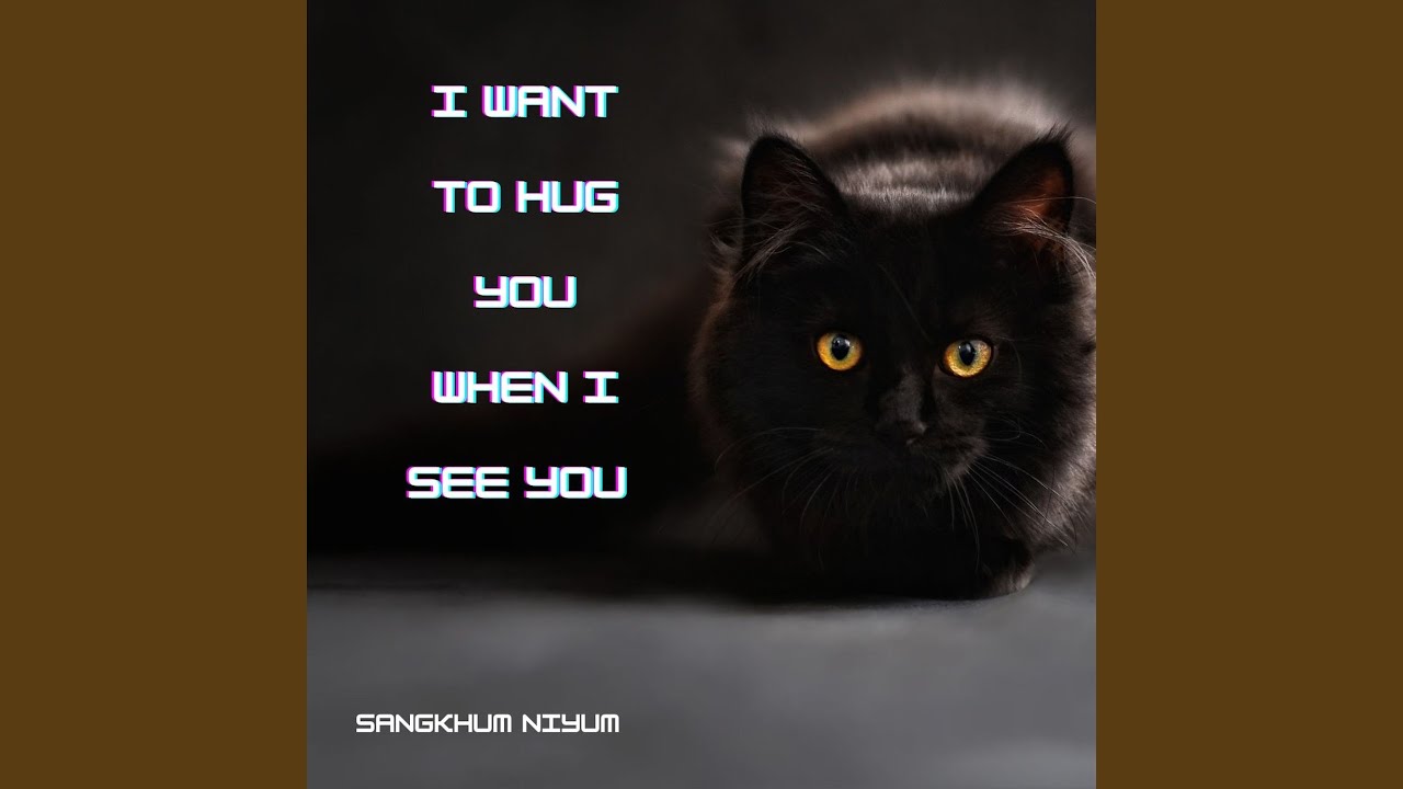 I Want to Hug You When I See You