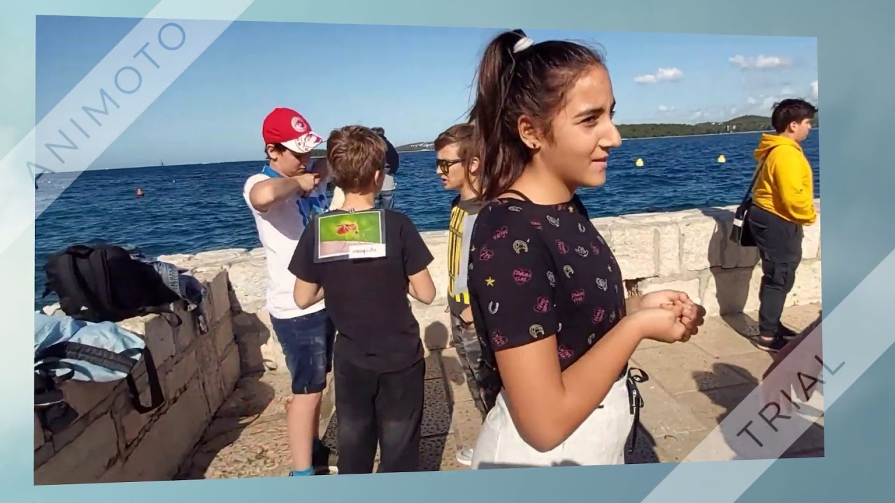Erasmus + GAMES FOR LEARNING SCIENCE