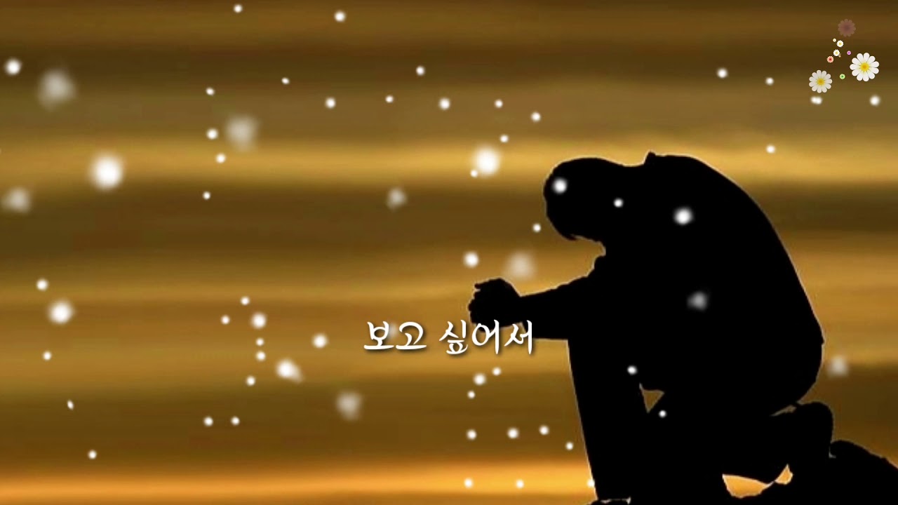 강승모🌻내안의 눈물 (가사첨부)