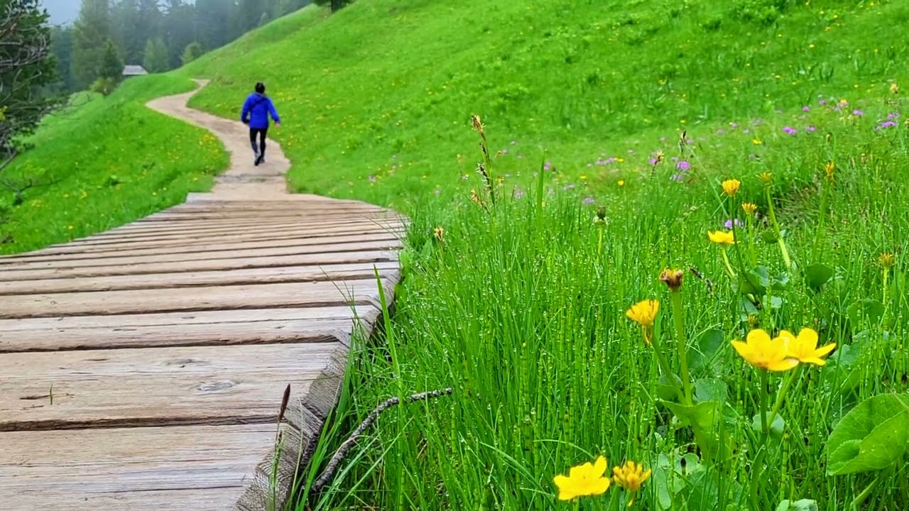 Hiking the Juac Refuge trail in the Dolomites, Italy!