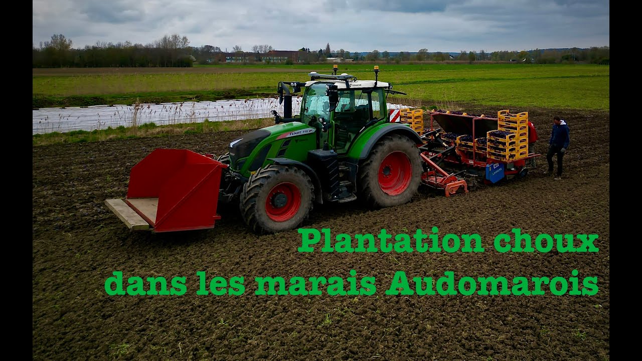 Plantation choux dans les marais : Fendt 716 vario avec combiné herse rotative et planteuse à main