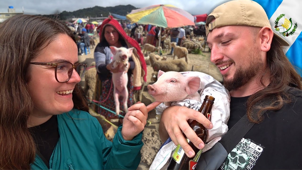 How to Buy a Piglet in Guatemala's Maddest Market 🇬🇹