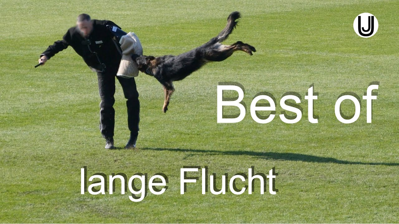 Best of lange Flucht BSP 2021