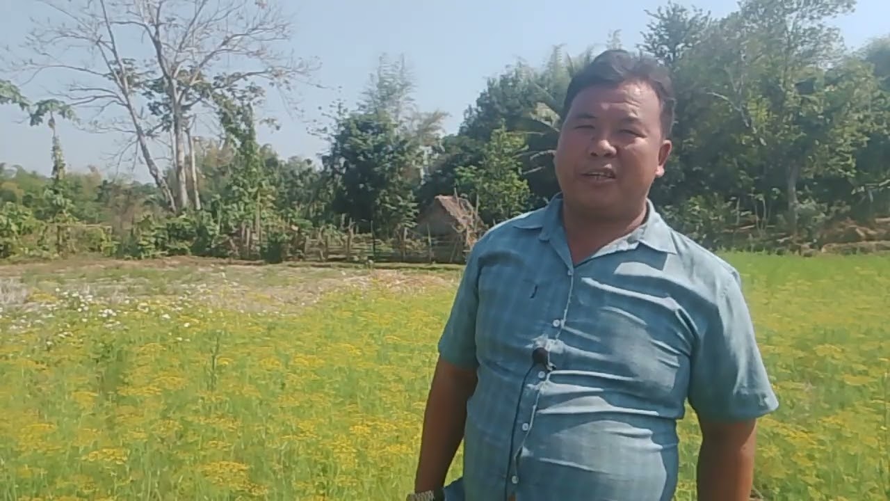 Ntxoov xyooj kwv txiaj muab tsiab tas khog siab heev 15/1/2026