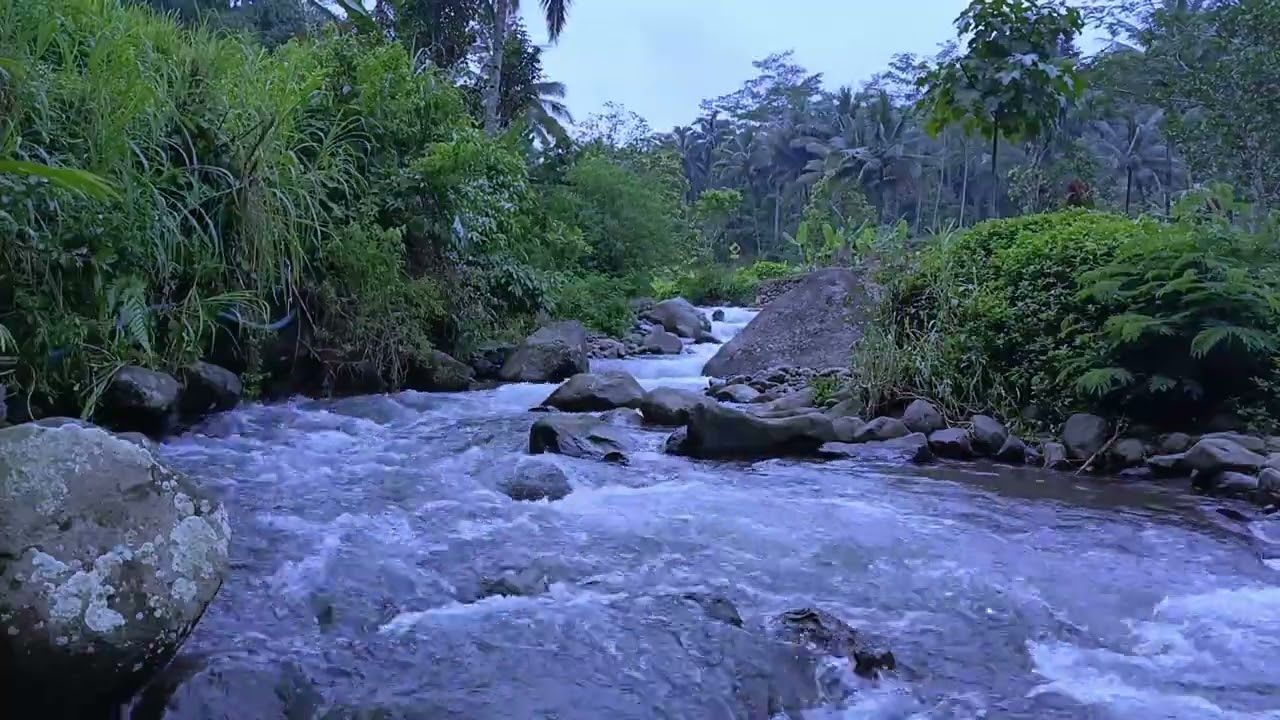 Nature River Dream Meditation