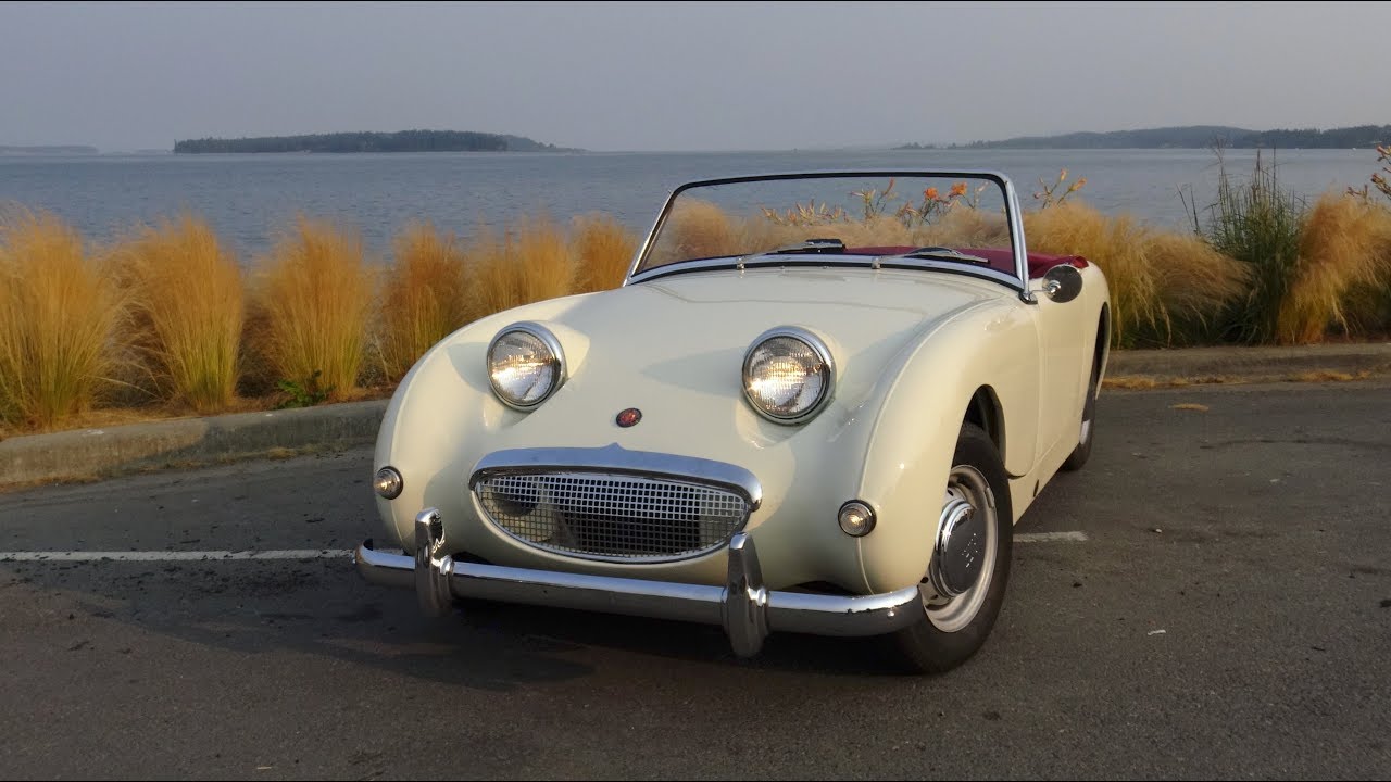 Driven | Bugeye Sprite