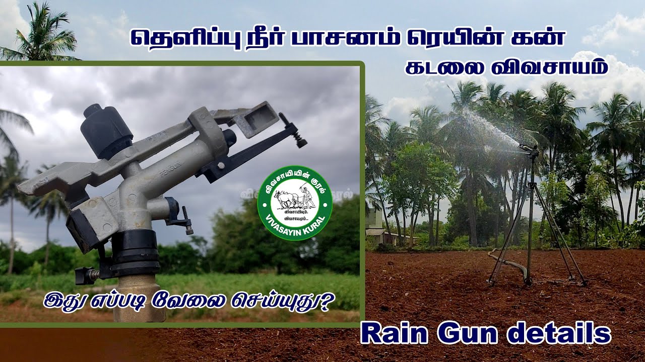 கடலைக்கு தெளிப்பு நீர் பாசனம் |  penguin Rain gun irrigation system | Vivasayin kural