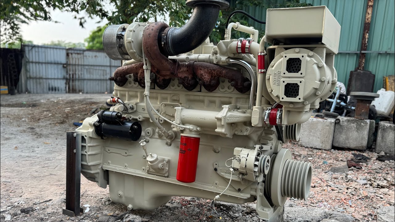 435 cumin NTA855 liên hệ Dĩnh Sài Gòn 0976497070