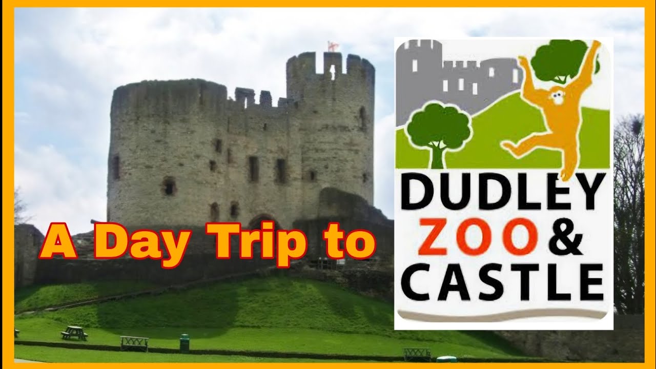 A Trip to Dudley Zoo