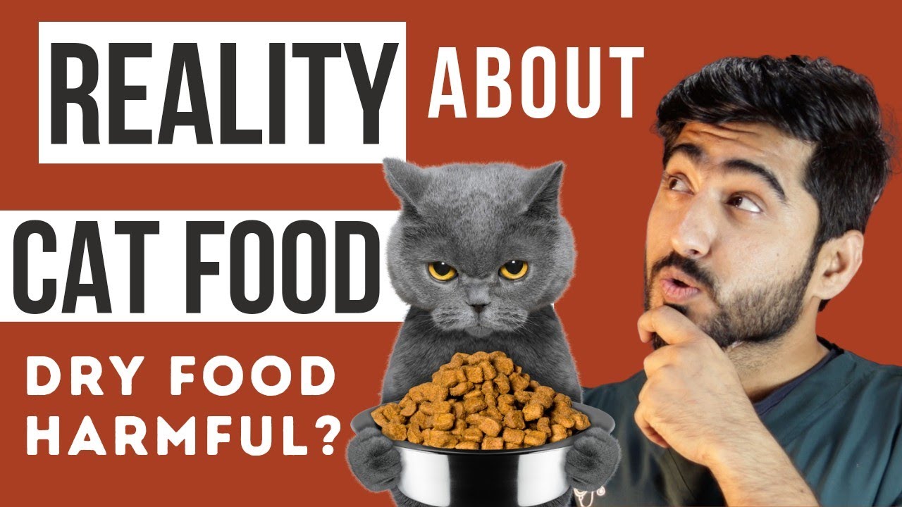 Dry Pet Food Reality -- Common Questions People asked for pet health || Animalia Dot Pk