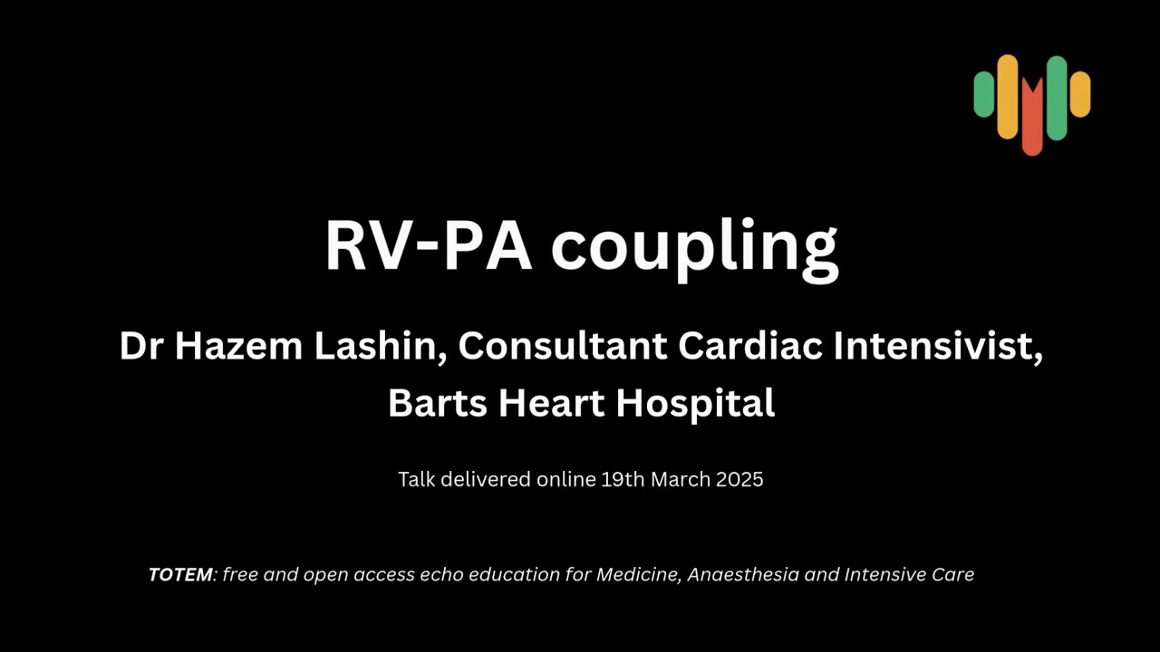 TOTEM RV PA coupling with Hazem Lashin