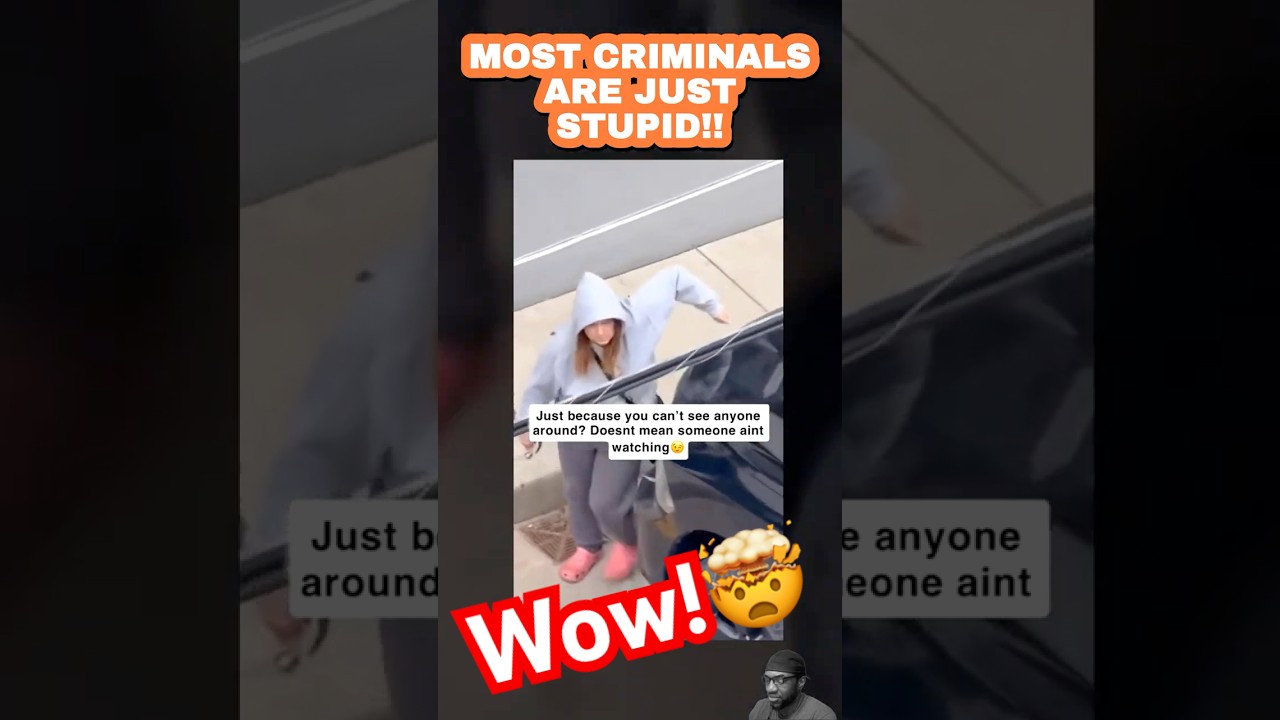 Там полно сумасшедших... 🤯