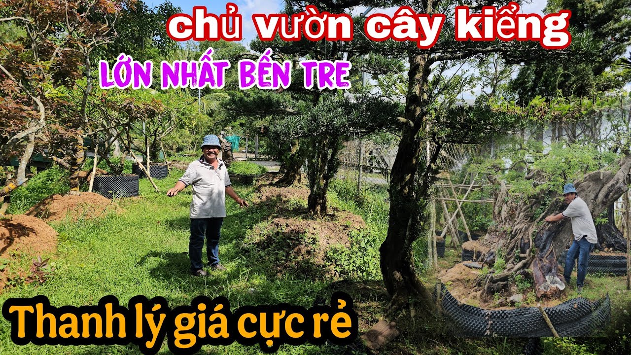 The Largest Ornamental Plant Garden in Ben Tre Is Suffocating and Needs to Be Sold at a Cheap Price
