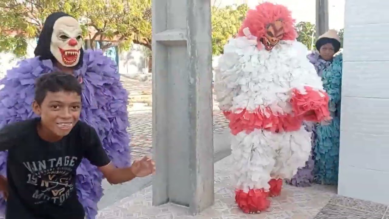 ursos de Mossoró 2023 parte 2