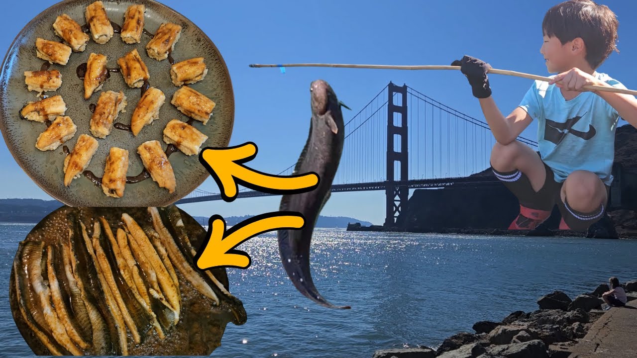 Catching Big Eels in Sausalito & Making Unagi at Home!