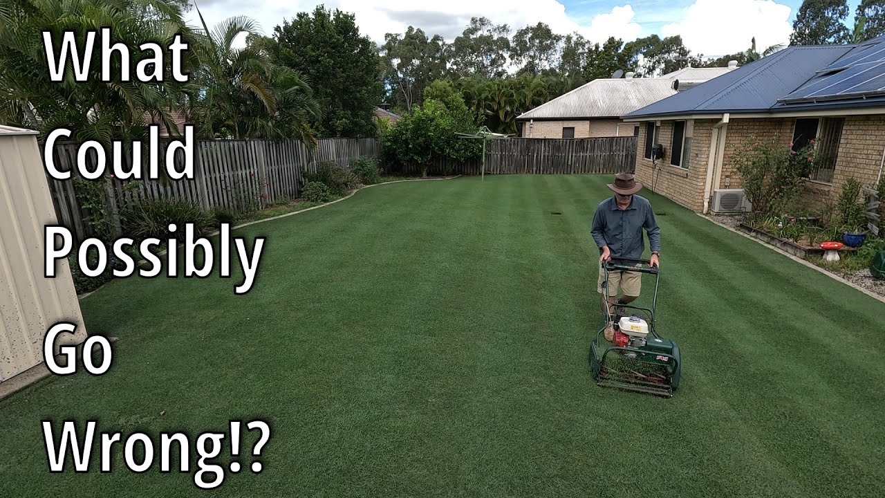 Allett Kensington Backlap - Follow Up Mow - Brisbane in Autumn