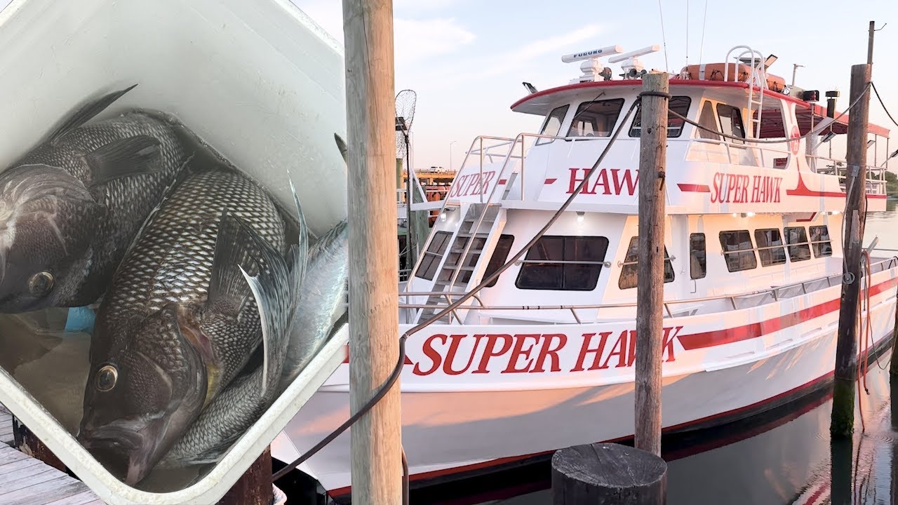 FISHING for JUMBO BLACK SEABASS Long Island