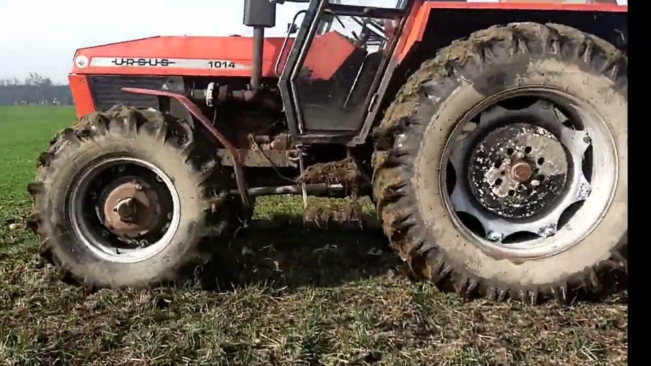 Akcja talerzowanie🔥 ursus 1014 w akcji talerzowanie po oborniku 💩02.03.2024r.Pozdrawiam wszystkich.