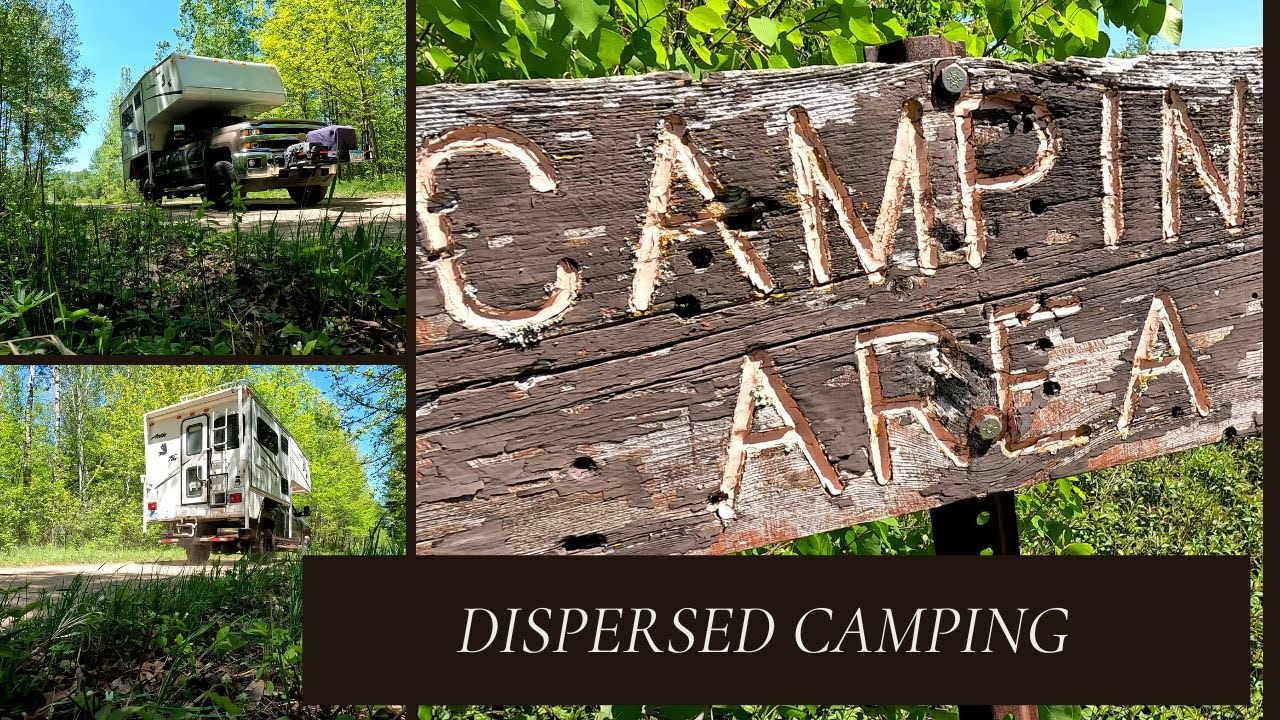 Dispersed Campsites are Everywhere in this Forest
