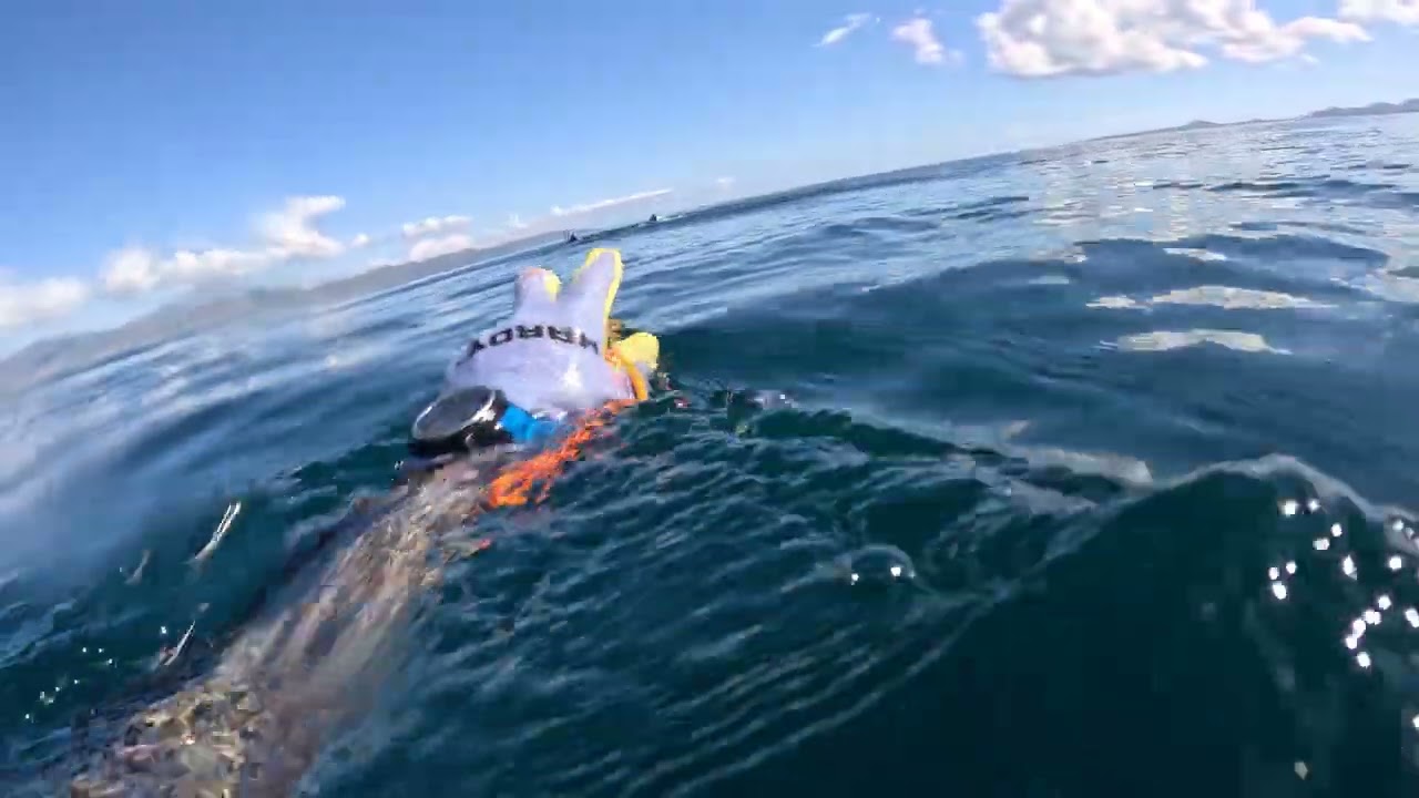 Part 1: Spearfishing La Ventana with the crew!