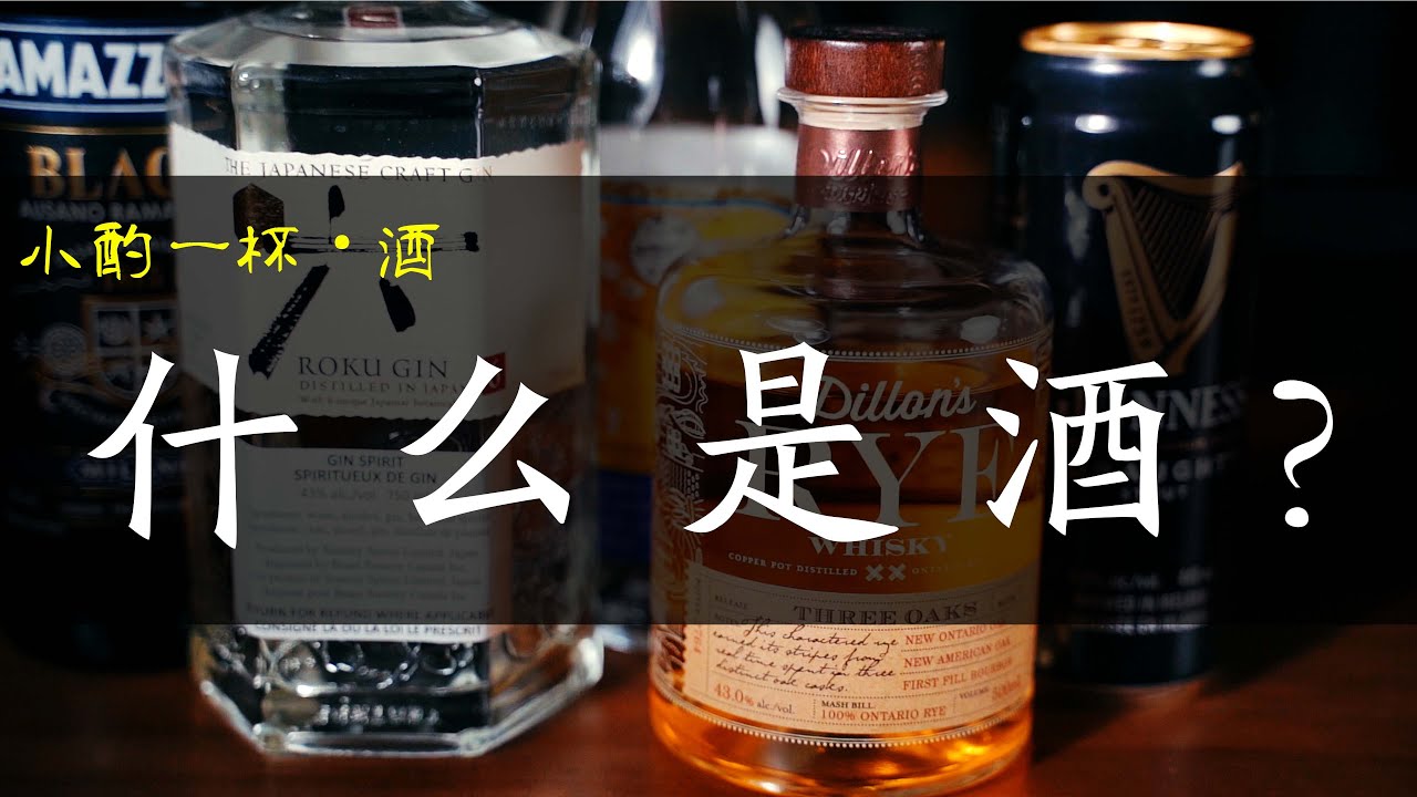 小酌一杯：什么是酒？