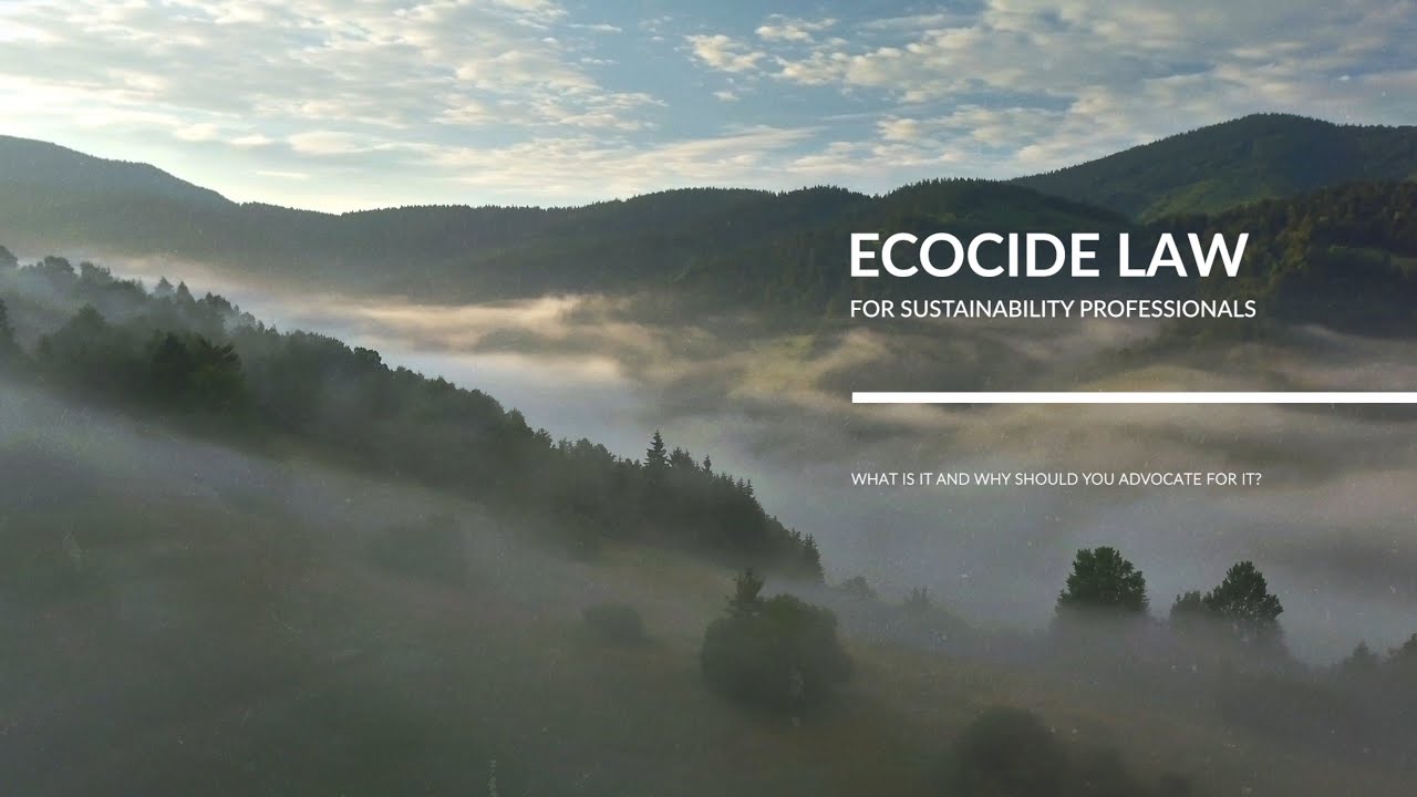 Ecocide Law for Sustainability Professionals: What is it and why should you advocate for it?