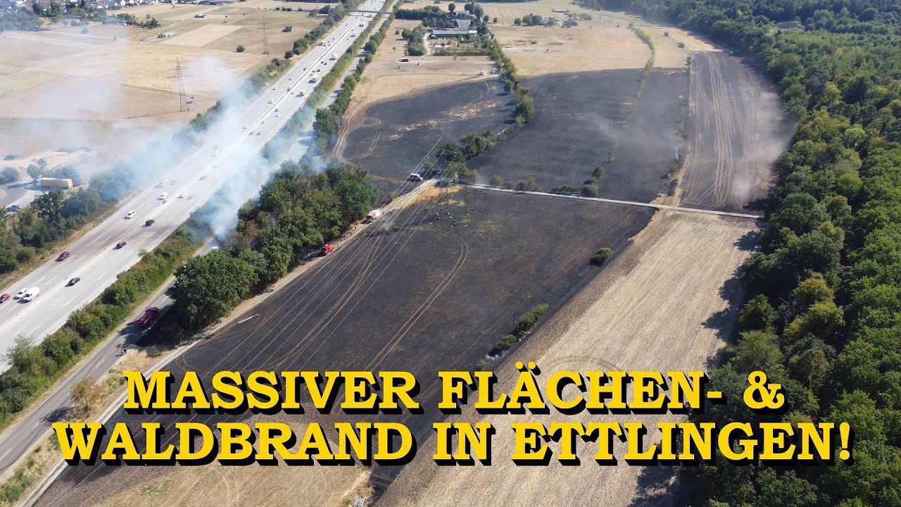 [ERSTVIDEO] - MASSIVER FLÄCHEN- & WALDBRAND - | 16 HEKTAR | FEUERWEHREN im GROSSEINSATZ | ETTLINGEN