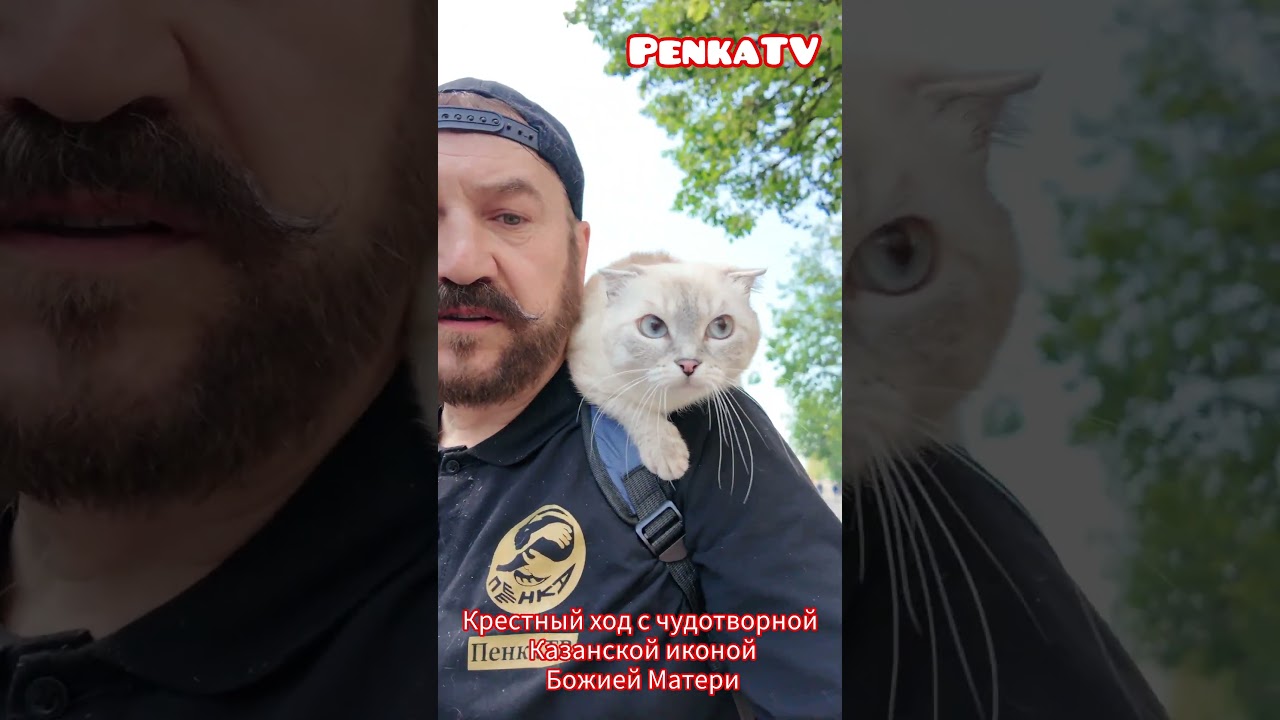 На Крестный ход с Пенкой дежурной по фауне. #PenkaTV #OneCatShow #penkadejurnayapofaune