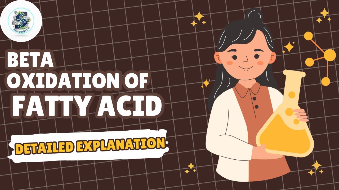 Beta Oxidation Of FattyAcids | hinglish 