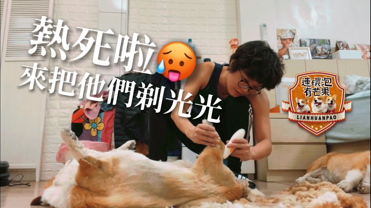 熱死啦🥵來把他們剃光光
