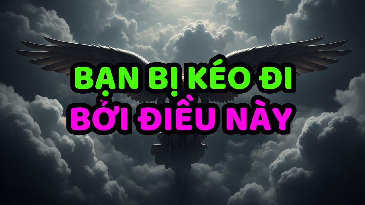 NGƯỜI ĐƯỢC CHỌN: BẠN ĐANG ĐỂ NÓ KÉO ĐI