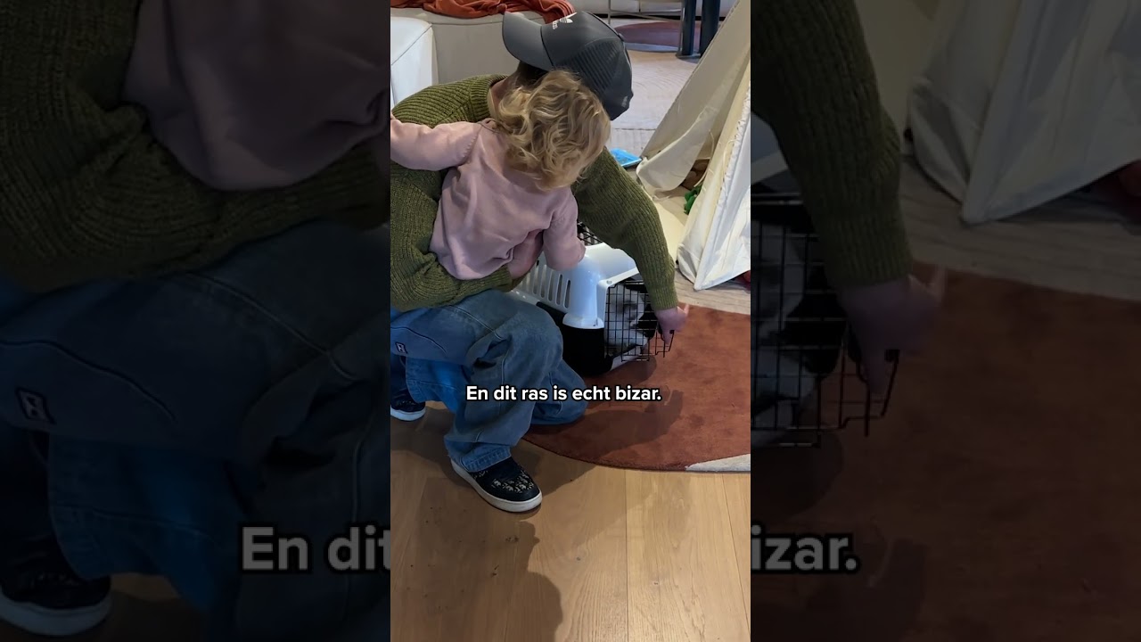 Wij hebben nieuwe poezen! 🐱