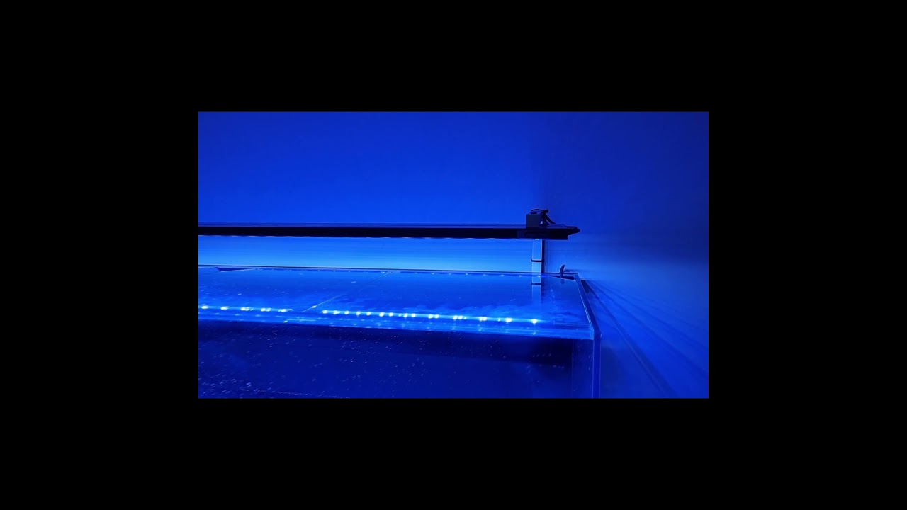 AQUA ONE Mini-Reef 215