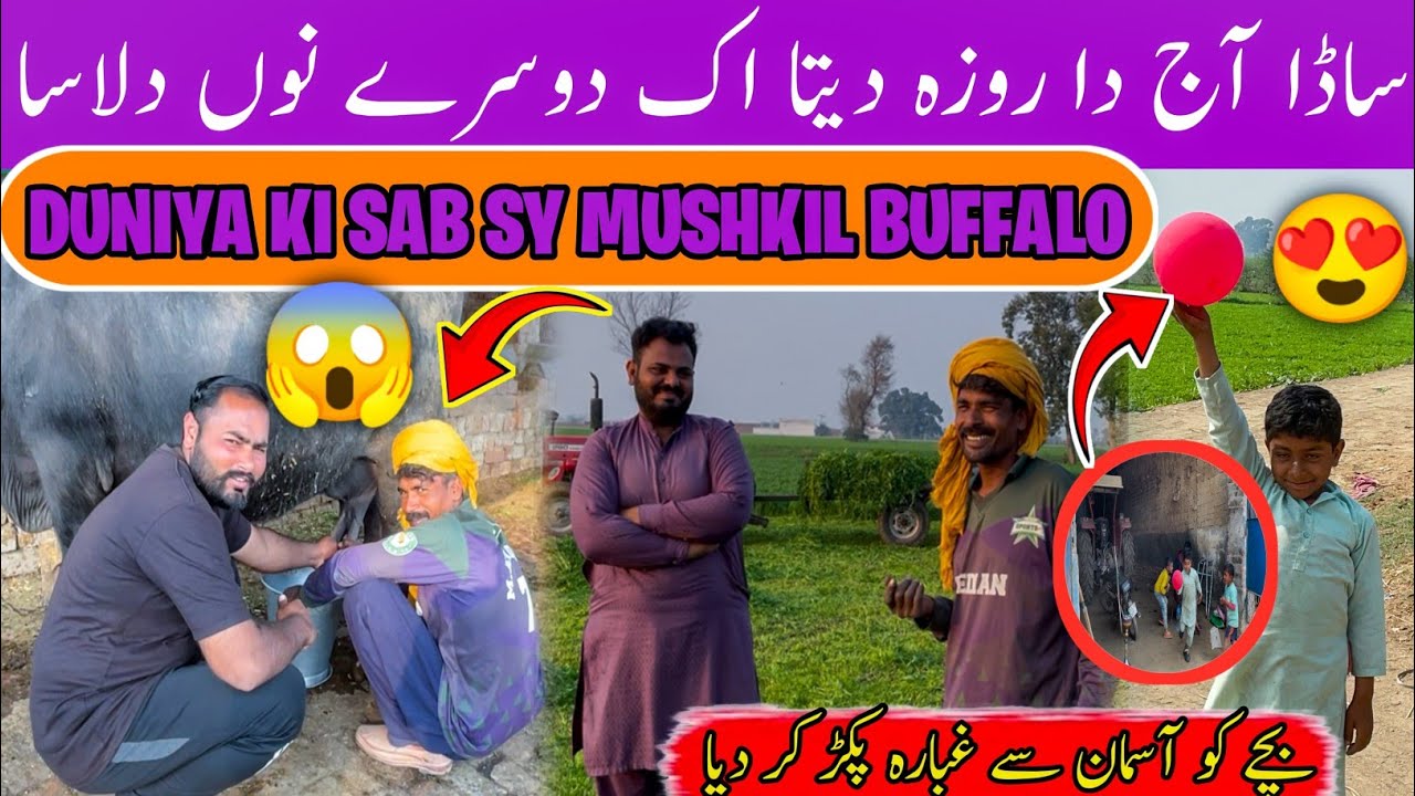 Duniya Ki Mushkil Buffalo 🤔| Ramzan Mubarak | Aj Da Roza Dita Ek Dusry Nu Delasah | Balloon for kidz