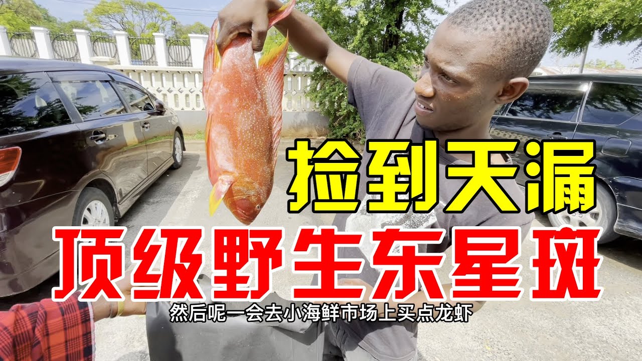 在非洲招待远道而来的朋友，大龙虾东星斑随便造，非洲保镖跟着享福了