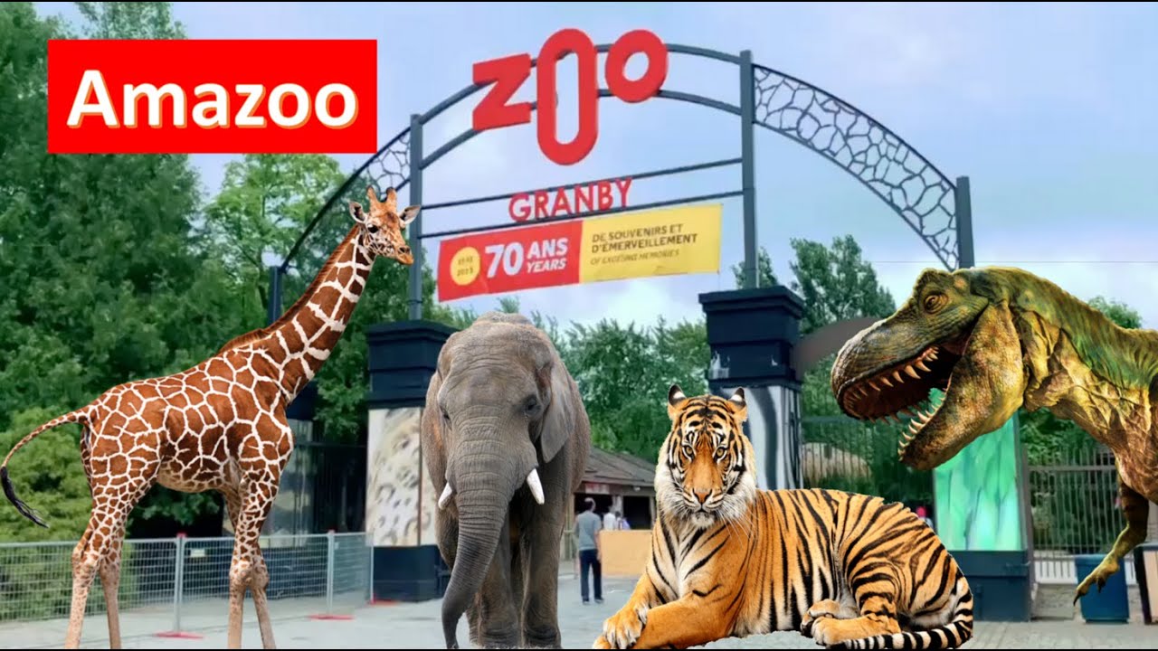 ZOO DE GRANBY - AMAZOO-DINOZOO