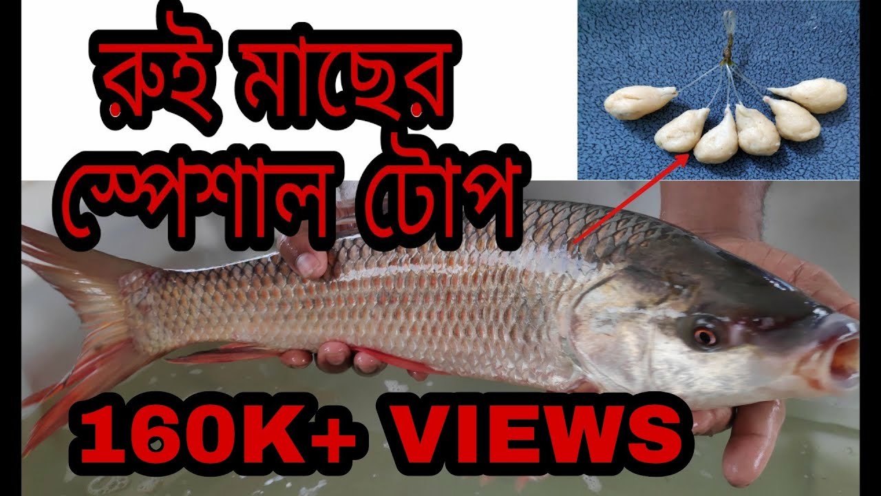 how to make Rohu special bait in easy way. part-1