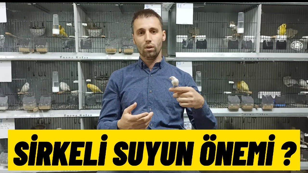 Üretim için Sirkeli su neden önemli ? İyi bir kafes temizliği nasıl yapılır ?